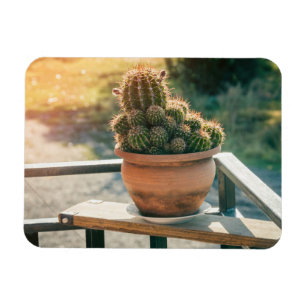 Magnet Flexible Cactus au soleil