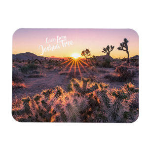 Magnet Flexible Cactus Cholla violet orange Joshua Tree coucher de