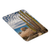 Magnet Flexible Cactus dans un paysage désertique (Côté Droit)