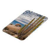 Magnet Flexible Cactus dans un paysage désertique (Côté Gauche)