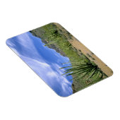 Magnet Flexible Cactus du désert au Monument national de la cornem (Côté Droit)