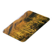 Magnet Flexible Cactus du Saguaro dans le parc national du Saguaro (Côté Gauche)