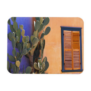 Magnet Flexible Cactus du sud-ouest (Opuntia dejecta) et