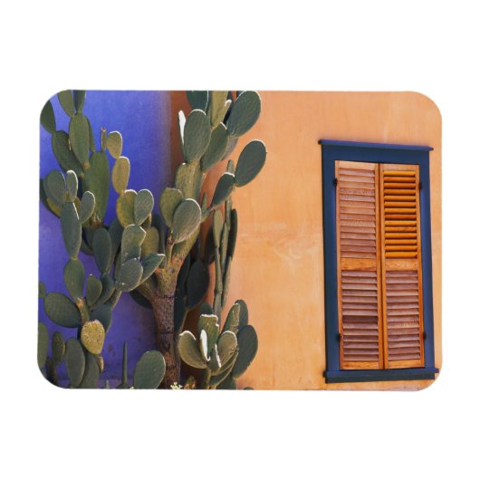 Magnet Flexible Cactus du sud-ouest (Opuntia dejecta) et (Horizontal)