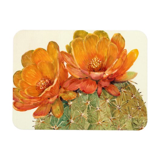 Magnet Flexible Cactus Orange Blossoms (Horizontal)