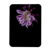 Magnet Flexible Cactus royal violet blanc (Vertical)