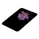 Magnet Flexible Cactus royal violet blanc (Côté Gauche)