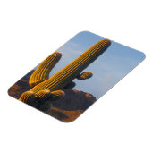 Magnet Flexible Cactus Saguaro Ensoleillé (Côté Gauche)