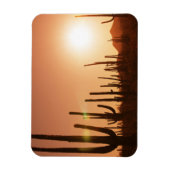 Magnet Flexible Cactus Sur Le Désert (Vertical)