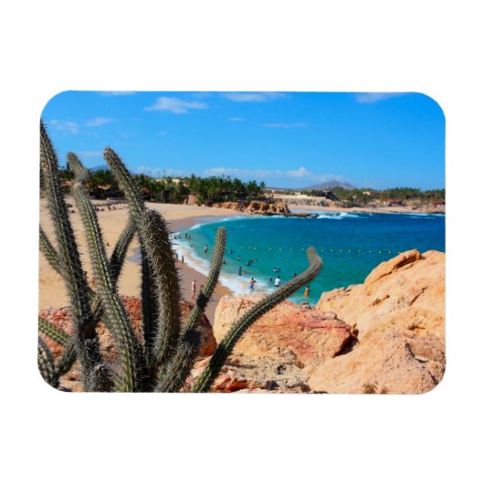 Magnet Flexible Cactus Sur Une Colline Rocheuse Au-Dessus De La Pl (Horizontal)