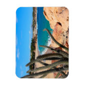 Magnet Flexible Cactus Sur Une Colline Rocheuse Au-Dessus De La Pl (Vertical)