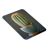 Magnet Flexible Cactus vert dans un pot en céramique Turquoise pho (Côté Droit)