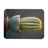 Magnet Flexible Cactus vert dans un pot en céramique Turquoise pho (Horizontal)