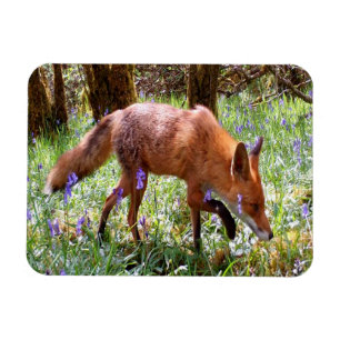 Magnet Flexible Cadeau pour amateur de nature Forêt de campanules