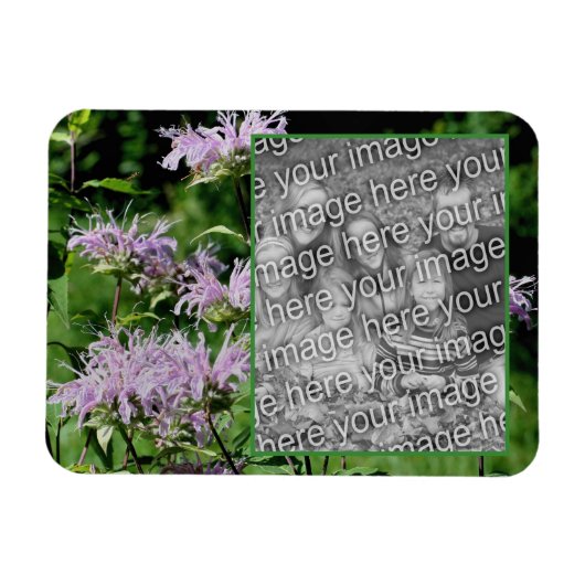 Magnet Flexible Cadre de baume d'abeille violet sauvage Ajouter vo (Horizontal)