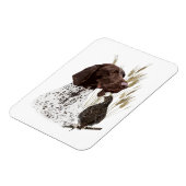 Magnet Flexible Café de la carte postale Allemande Pointeurs Racco (Côté Gauche)