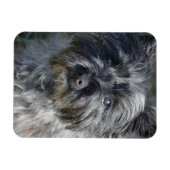 Magnet Flexible Cairn Terrier Face (Horizontal)