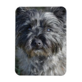 Magnet Flexible Cairn Terrier Face (Vertical)