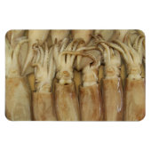 Magnet Flexible Calamari (Horizontal)