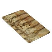 Magnet Flexible Calamari (Côté Droit)