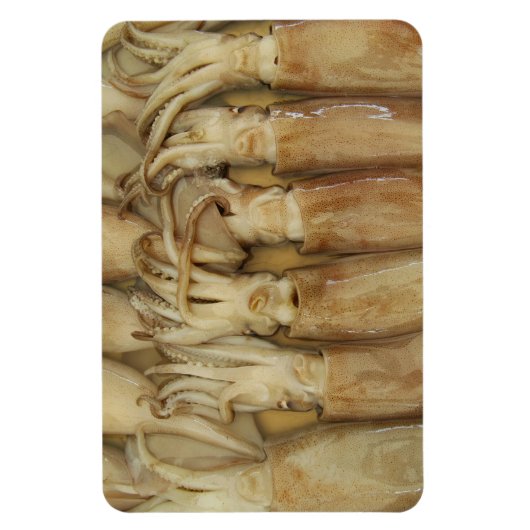 Magnet Flexible Calamari (Vertical)