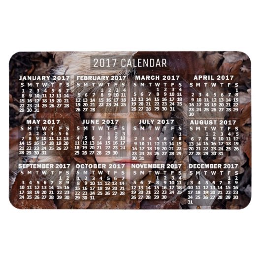 Magnet Flexible Calendrier mensuel 2017 Année Blanc | Ajouter une  (Horizontal)
