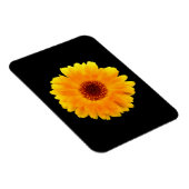 Magnet Flexible Calendula Officinalis (Côté Droit)