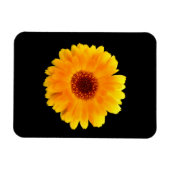 Magnet Flexible Calendula Officinalis (Horizontal)
