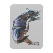 Magnet Flexible Calf 2006 (Vertical)