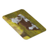 Magnet Flexible Calf Repose (Côté Droit)