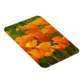 Magnet Flexible California poppy impastèque (Côté Droit)