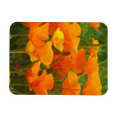 Magnet Flexible California poppy impastèque (Horizontal)