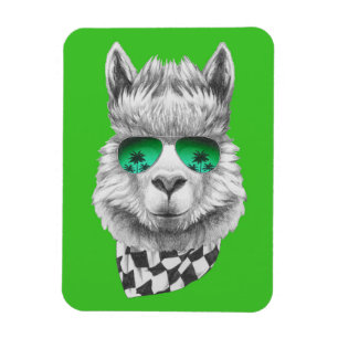 Magnet Flexible Californie llama