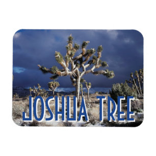 Magnet Flexible Californie, parc national de Joshua Tree