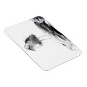 Magnet Flexible Californie Seagull 2012 (Côté Droit)