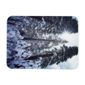 Magnet Flexible Californie, Sierra Nevada Mountains 9 (Horizontal)