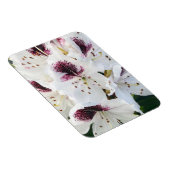 Magnet Flexible Calsap Rhododendrons (Côté Droit)