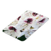 Magnet Flexible Calsap Rhododendrons (Côté Gauche)