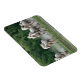 Magnet Flexible Camargue Chevaux courant dans l'eau (Côté Droit)