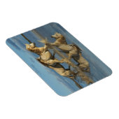 Magnet Flexible Camargue, Chevaux et réflexion, Sud de la France (Côté Droit)