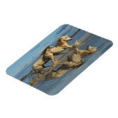 Magnet Flexible Camargue, Chevaux et réflexion, Sud de la France (Côté Gauche)