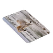 Magnet Flexible Camargue Horse court de Surf (Côté Droit)