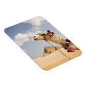 Magnet Flexible Camel avec Pyramides Gizeh, Egypte (Côté Droit)