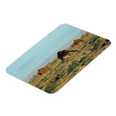 Magnet Flexible Camels, Tunisie (Côté Gauche)