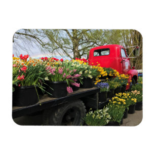 Magnet Flexible Camion rouge avec fleurs de printemps et arc en ci