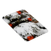 Magnet Flexible Canada, Alberta, Jasper, Jasper NP. Fairmont 2 (Côté Droit)