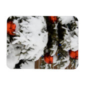 Magnet Flexible Canada, Alberta, Jasper, Jasper NP. Fairmont 2 (Horizontal)