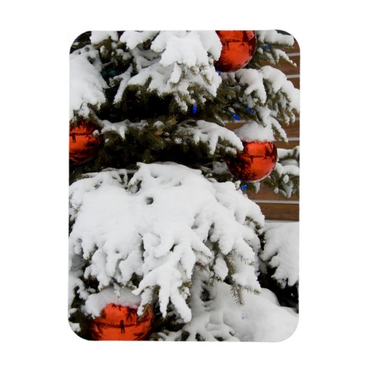 Magnet Flexible Canada, Alberta, Jasper, Jasper NP. Fairmont 2 (Vertical)