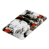 Magnet Flexible Canada, Alberta, Jasper, Parc national de Jasper.  (Côté Gauche)