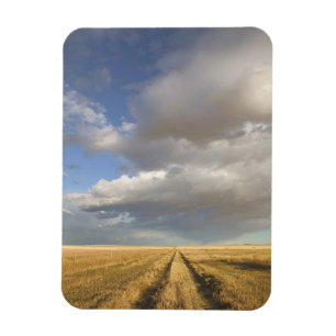 Magnet Flexible Canada, Alberta, Stand Off : Paysage avec